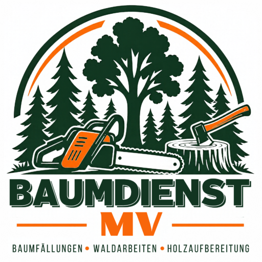 Logo Baumdienst MV mit Bäumen, Motorsäge und Axt